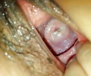 Kinh điển của lau xanh dep michel caputo