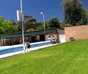 Sâu hơn. Người giúp việc Thu Rơi nhận được một món lau xanh úa quà khó quên