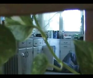 Miasweet lau xanh tram anh