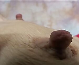 Châu á chó phong phim xes lau xanh cách